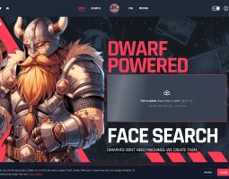 FaceFury